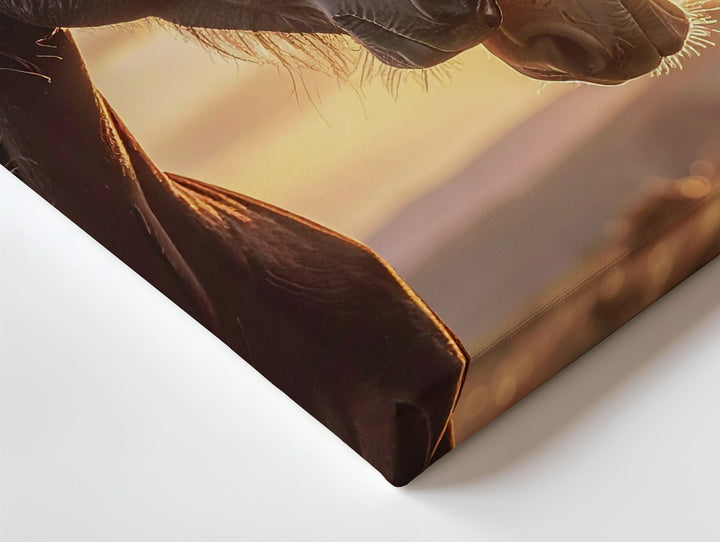 Sunset Bond Canvas – Two Horses Nuzzling in Golden Light - Gifitto