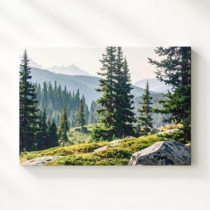 Granite & Green Canvas – Daylight Forested Mountain Scene with Moss and Pines - Gifitto