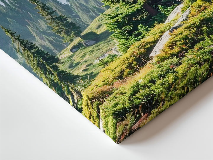 Granite & Green Canvas – Daylight Forested Mountain Scene with Moss and Pines - Gifitto