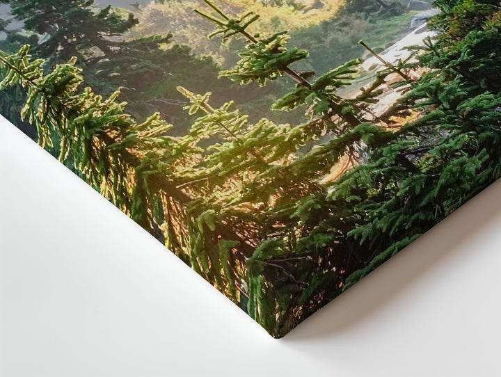 Golden Pines Canvas – Vertical Forest Landscape with Sunlight & Misty Mountains - Gifitto