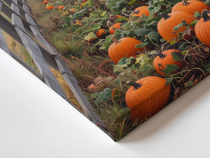 Autumn Pasture Canvas – Rustic Pumpkin Patch & Grazing Horses - Gifitto