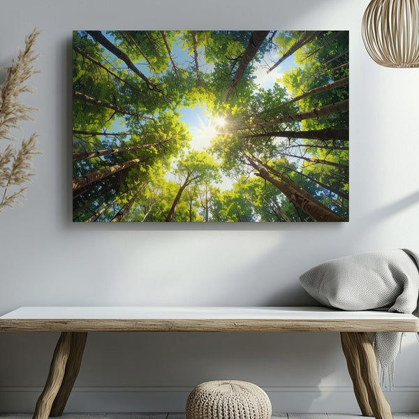 Cathedral Canopy Canvas – Symmetrical Forest Ceiling with Sunburst Light - Gifitto