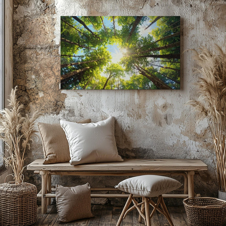 Cathedral Canopy Canvas – Symmetrical Forest Ceiling with Sunburst Light - Gifitto