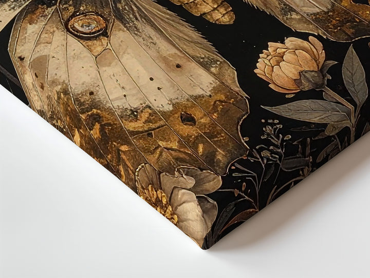 Golden Nocturne Moth Canvas – Vintage Botanical Insect Illustration on Black - Gifitto