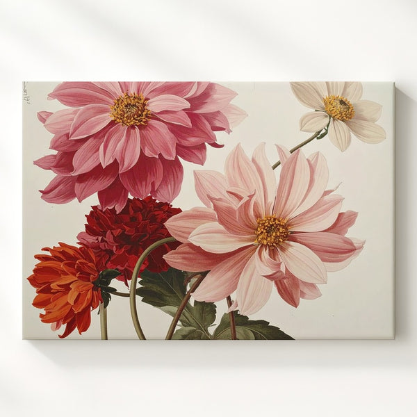 Vintage Dahlia Botanical Trio – Minimalist Floral Illustration Canvas - Gifitto