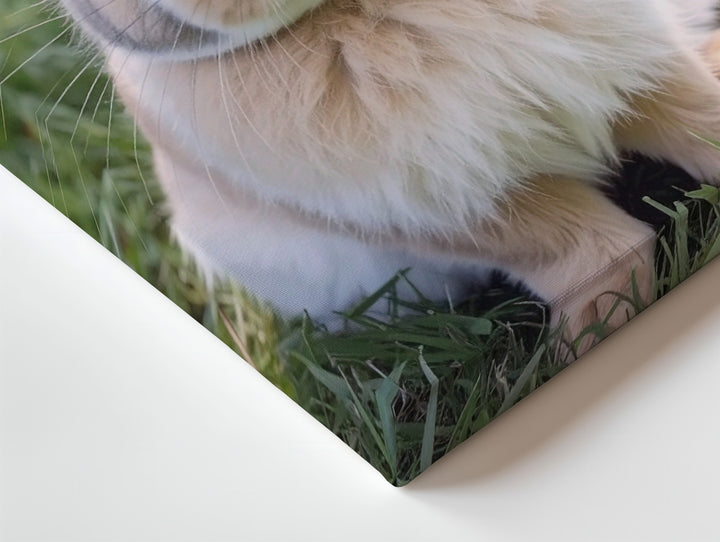 Springtime Bunny Canvas – Soft Rabbit in Lush Meadow Wall Art - Gifitto