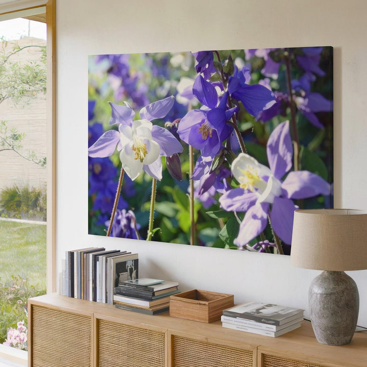 Columbine Blossom Canvas – Macro Floral Art in Sunlit Purple & White - Gifitto