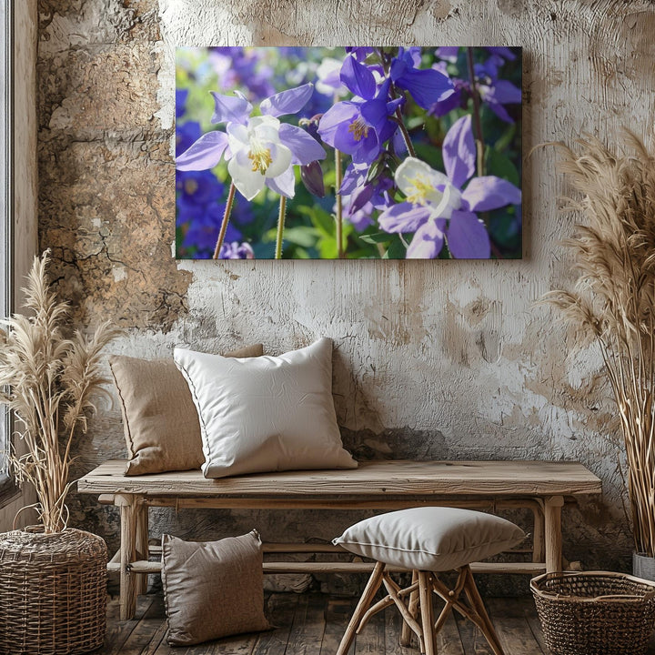 Columbine Blossom Canvas – Macro Floral Art in Sunlit Purple & White - Gifitto
