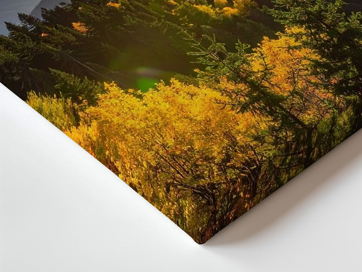Golden Hour Forest Panorama Canvas – Sunburst Pines & Autumn Mountain Light - Gifitto