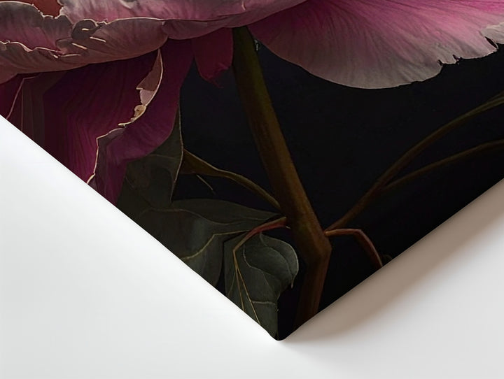 Pink Peony in Darkness – Hyper-Realistic Floral Canvas Wall Art - Gifitto
