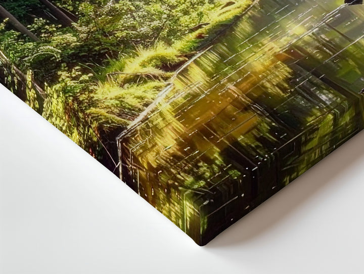 Golden Forest River Canvas – Tranquil Woodland Reflection with Sunlit Greens - Gifitto