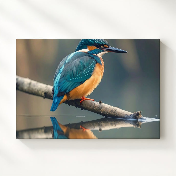 Kingfisher Serenity Canvas – Vibrant Blue & Orange Bird with Water Reflection - Gifitto