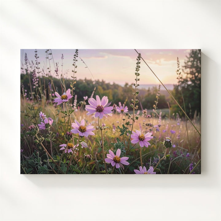 Golden Hour Wildflower Canvas – Soft Pink Blooms in Romantic Meadow Light - Gifitto