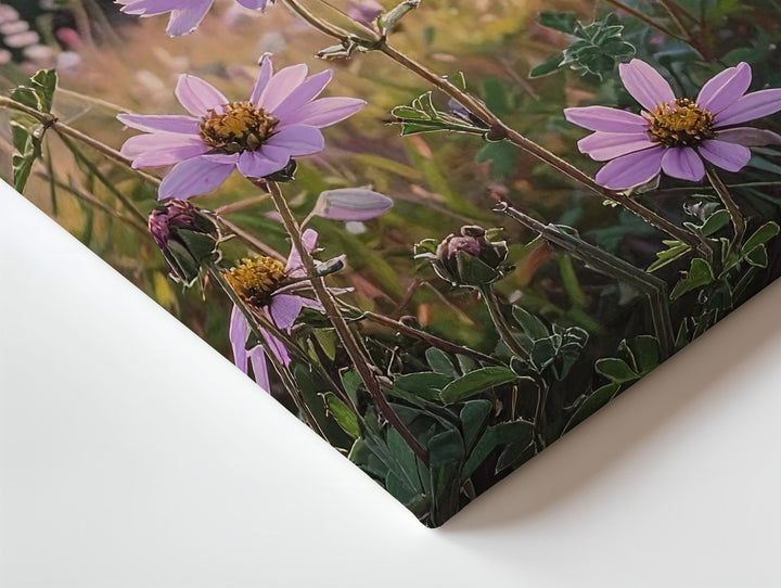 Golden Hour Wildflower Canvas – Soft Pink Blooms in Romantic Meadow Light - Gifitto
