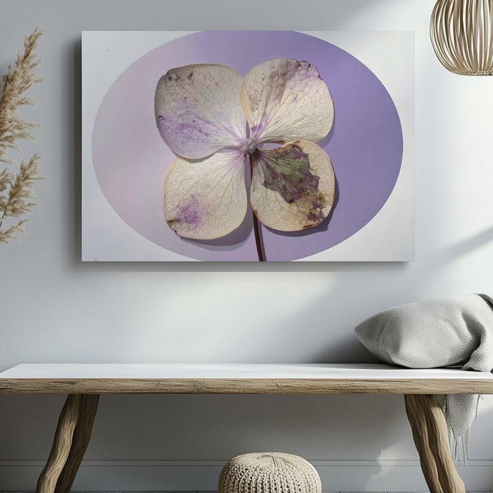 Pressed Hydrangea Oval Canvas – Minimalist Botanical Memory Art - Gifitto