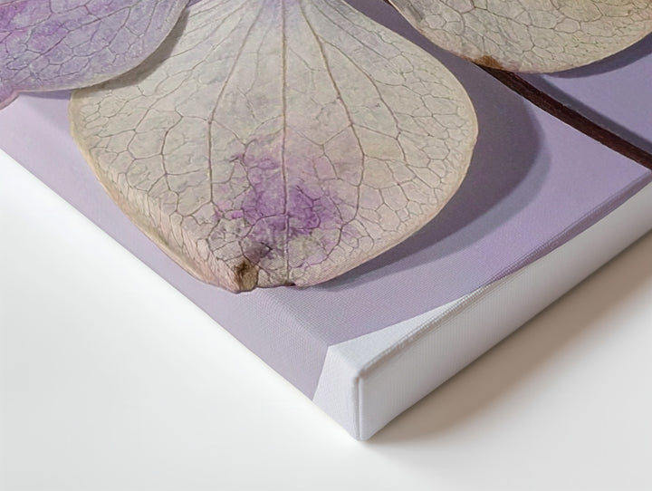 Pressed Hydrangea Oval Canvas – Minimalist Botanical Memory Art - Gifitto