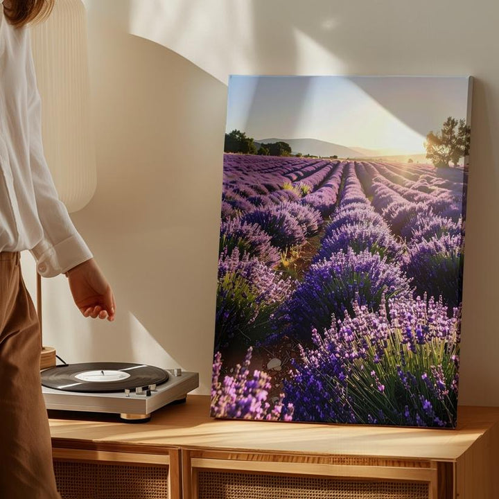 Lavender Sunrise Canvas – Vibrant Lavender Field Wall Art - Gifitto