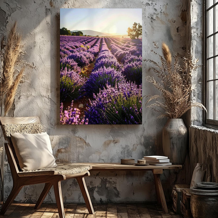 Lavender Sunrise Canvas – Vibrant Lavender Field Wall Art - Gifitto