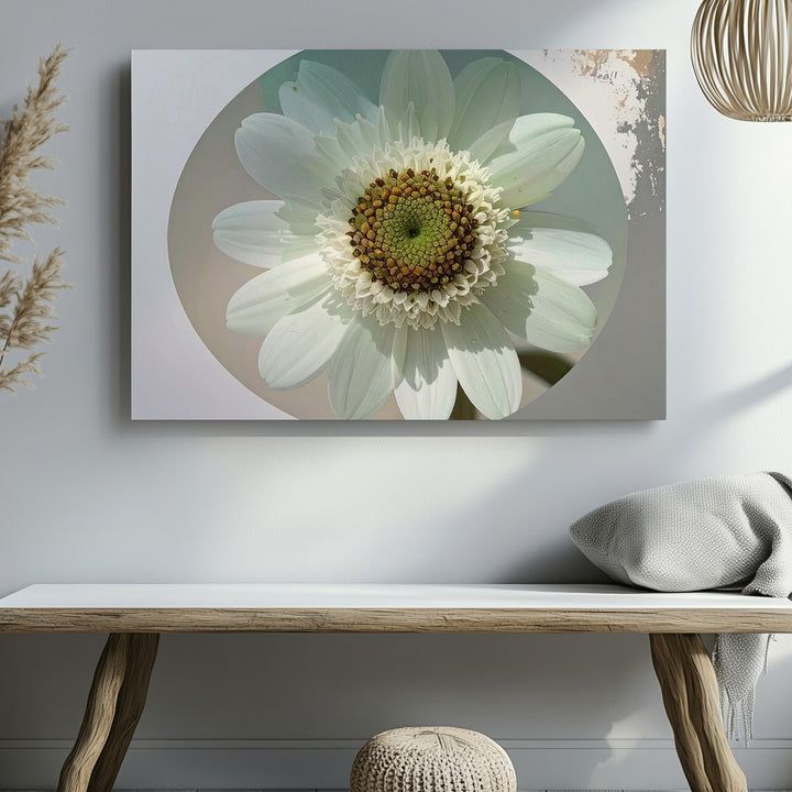 Translucent Green Bloom Canvas – Vintage Minimal Botanical Oval Art - Gifitto