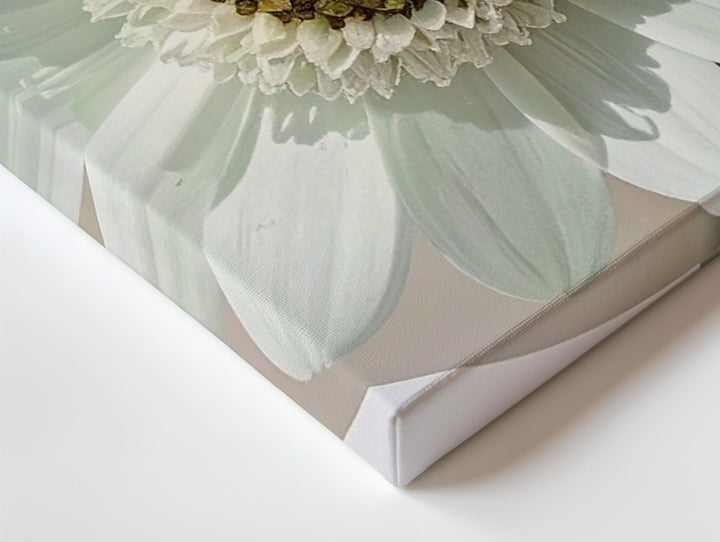 Translucent Green Bloom Canvas – Vintage Minimal Botanical Oval Art - Gifitto