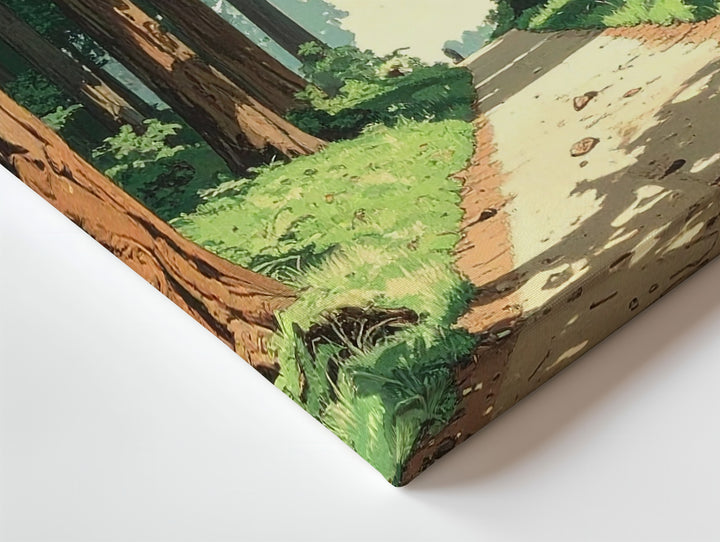 Redwood Journey Canvas – Stylized Forest Trail Through Towering Trees - Gifitto