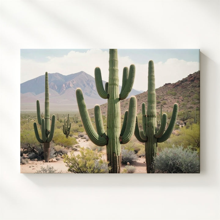 Desert Giants Canvas – Saguaro Cactus Landscape with Mountain Backdrop - Gifitto