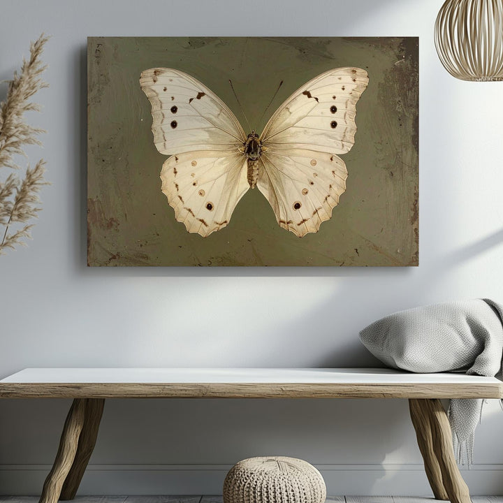 Cream Butterfly Botanical Canvas – Vintage Entomology-Inspired Wall Art - Gifitto