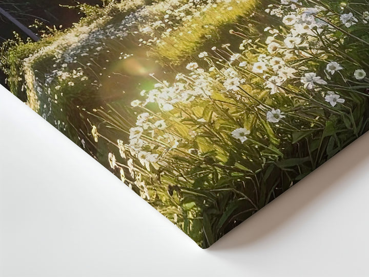 Golden Hour Meadow Canvas – Sunlit Forest with Wildflowers & Evergreen Glow - Gifitto