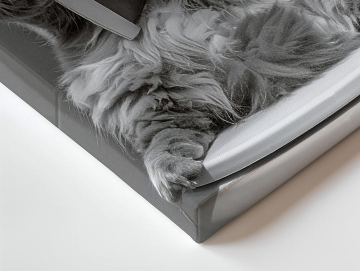 Fluffy Cat Toilet Newspaper Canvas – Humorous Feline Bathroom Art - Gifitto