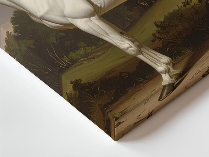 Serene White Horse Canvas – Classical Equestrian Landscape Art - Gifitto