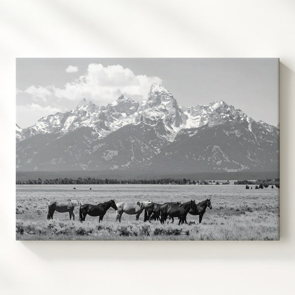 Majestic Horses in the Field Canvas – Black and White Landscape Photography - Gifitto