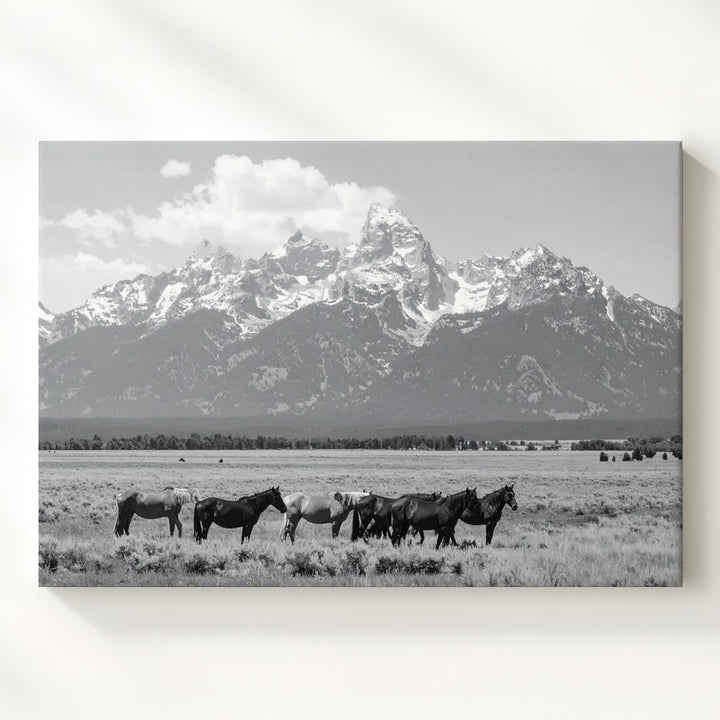 Majestic Horses in the Field Canvas – Black and White Landscape Photography - Gifitto