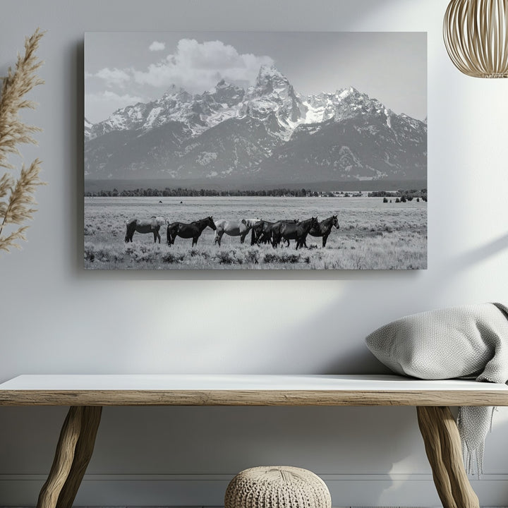 Majestic Horses in the Field Canvas – Black and White Landscape Photography - Gifitto