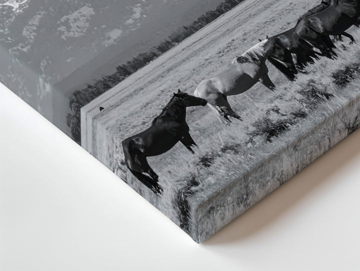Majestic Horses in the Field Canvas – Black and White Landscape Photography - Gifitto
