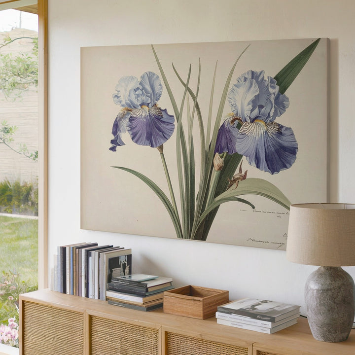 Vintage Iris Botanical Canvas – Antique Floral Illustration in Soft Blue Tones - Gifitto