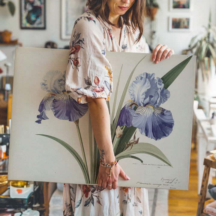 Vintage Iris Botanical Canvas – Antique Floral Illustration in Soft Blue Tones - Gifitto