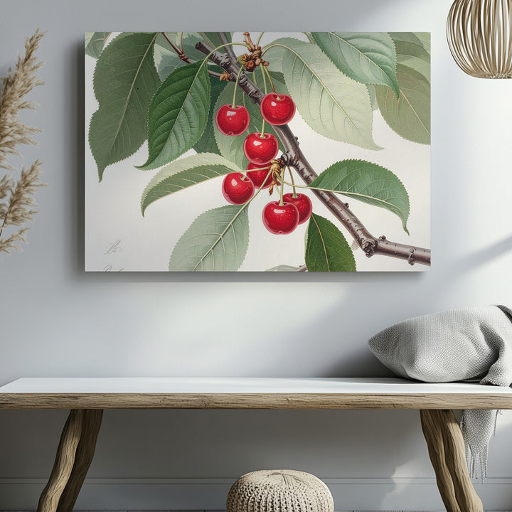 Vintage Botanical Cherry Branch Canvas – Realistic Naturalist Fruit Illustration - Gifitto