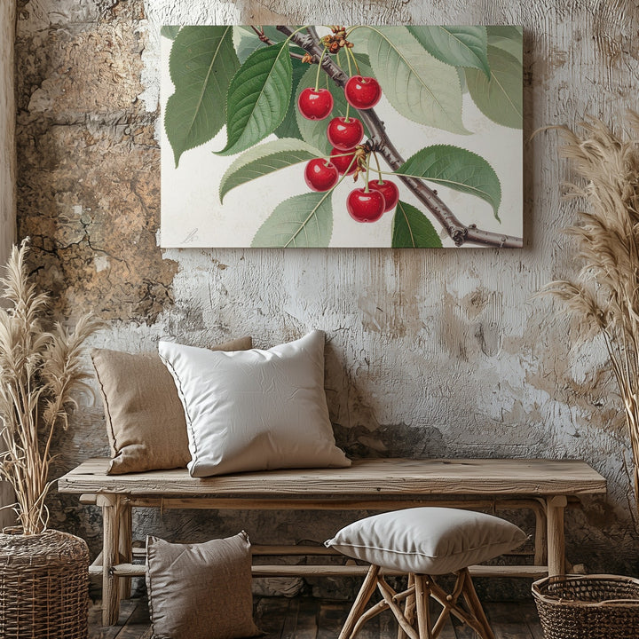 Vintage Botanical Cherry Branch Canvas – Realistic Naturalist Fruit Illustration - Gifitto
