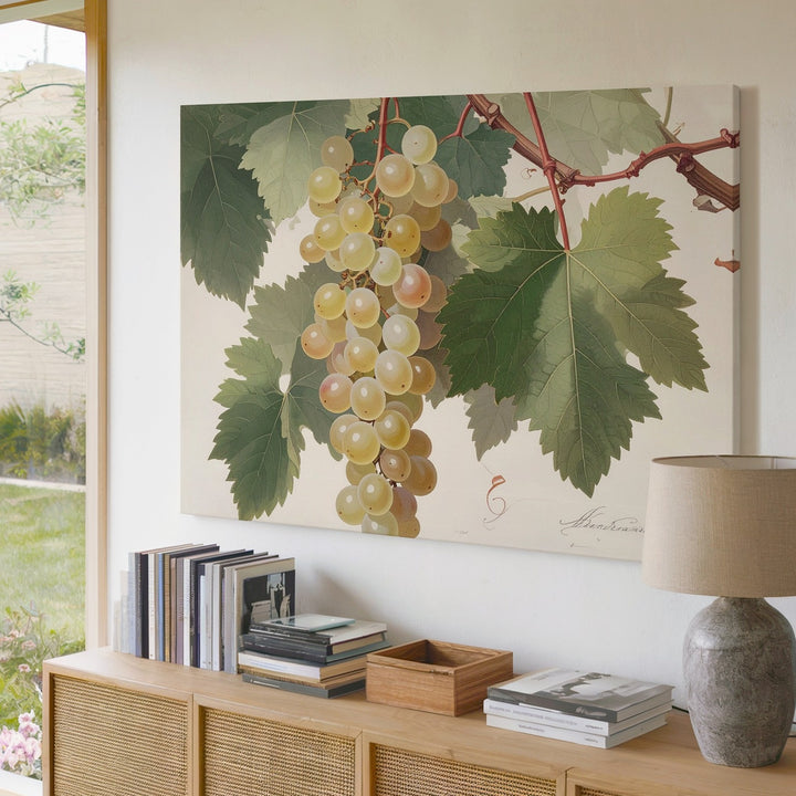 Vintage Botanical White Grape Canvas – Detailed Naturalist Vine Illustration - Gifitto