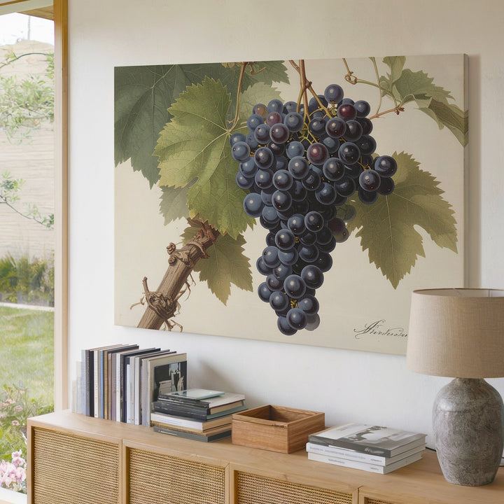 Classic Botanical Dark Grape Canvas – Vintage Scientific Vine Illustration - Gifitto