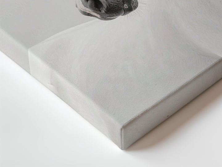 Ethereal White Horse Canvas – Minimalist Monochrome Equestrian Art - Gifitto
