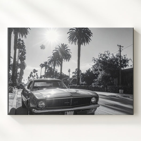 Black & White Muscle Car Canvas – Vintage Americana with Palm Trees & Sunlight - Gifitto