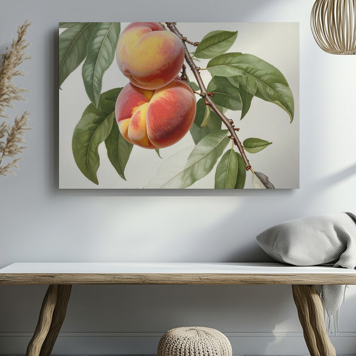 Vintage Botanical Peach Branch Canvas – Detailed Naturalist Fruit Illustration - Gifitto