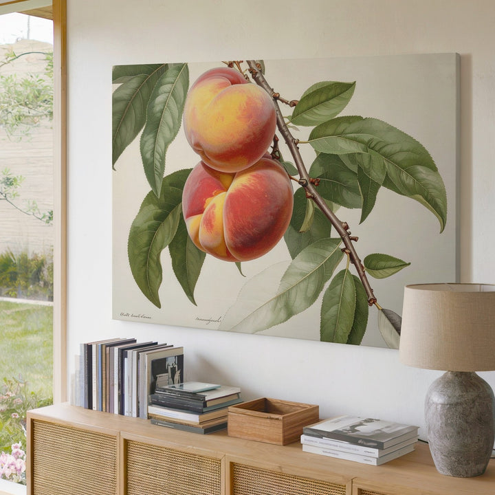 Vintage Botanical Peach Branch Canvas – Detailed Naturalist Fruit Illustration - Gifitto