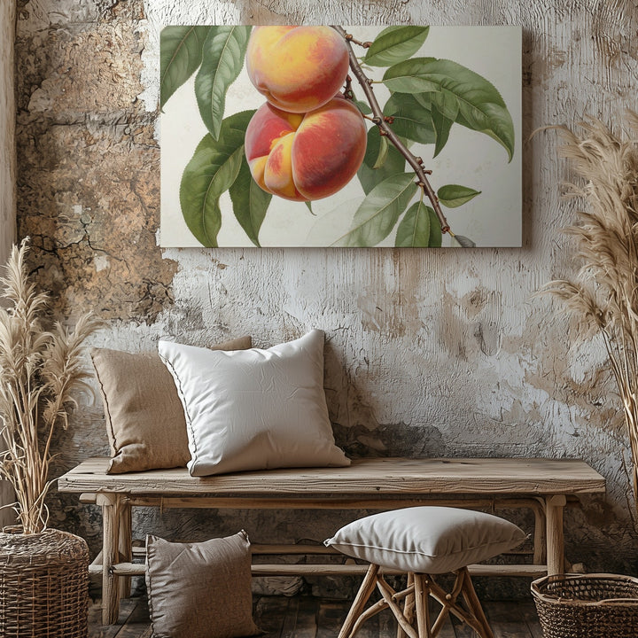 Vintage Botanical Peach Branch Canvas – Detailed Naturalist Fruit Illustration - Gifitto