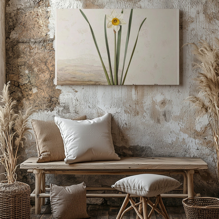 Narcissus Poeticus Botanical Canvas – Minimalist Scientific Floral Art - Gifitto