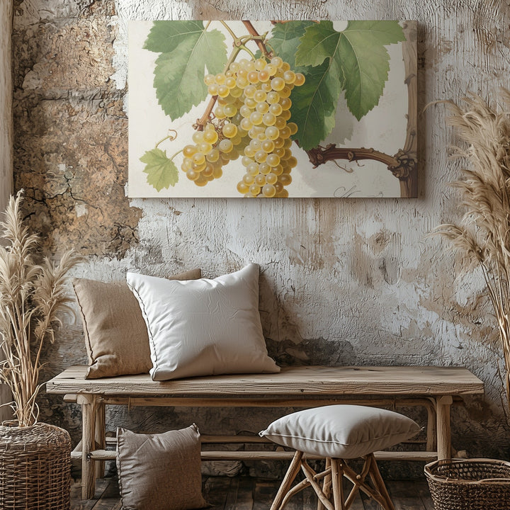 Scientific Botanical White Grapes Canvas – Vintage Naturalist Vine Illustration - Gifitto