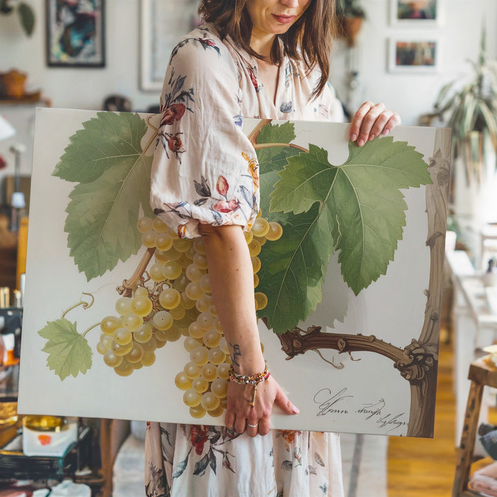 Scientific Botanical White Grapes Canvas – Vintage Naturalist Vine Illustration - Gifitto