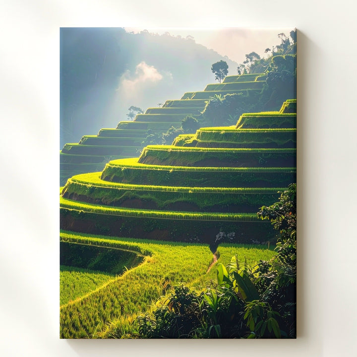 Terraced Rice Fields Canvas – Lush Green Landscape with Mist and Sunlight - Gifitto