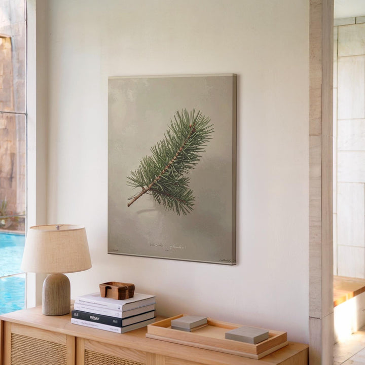 Pine Sprig Botanical Canvas – Minimalist Rustic Holiday Wall Art - Gifitto